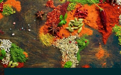 Découvrez L’Instant Gourmand à Phalsbourg : Un Voyage Culinaire