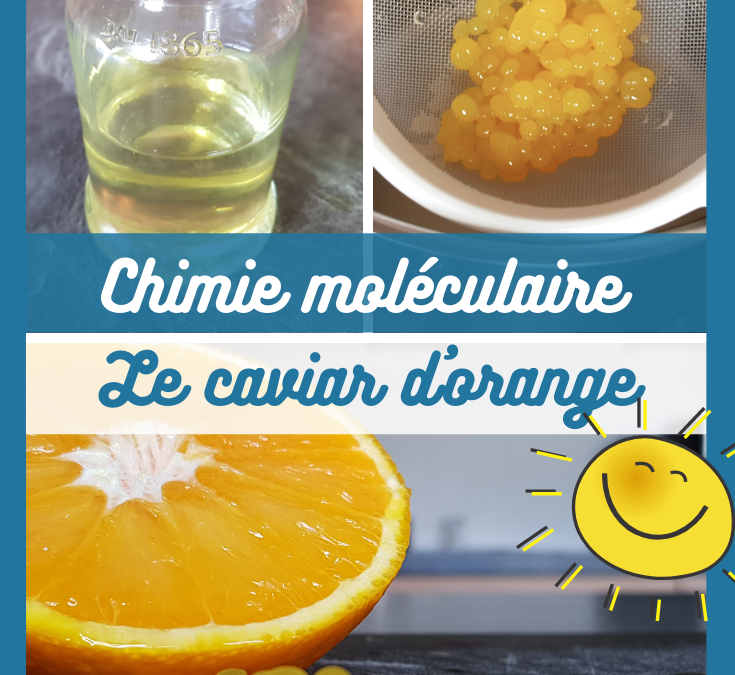 Le charmant “Soldat de l’an 2” à Phalsbourg : Une escapade culinaire exceptionnelle