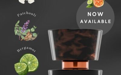 Parfums intenses : guide expert des extraits 90 ml et leur équivalence en cl