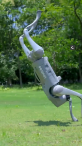 Sunseeker Robot avis extérieur