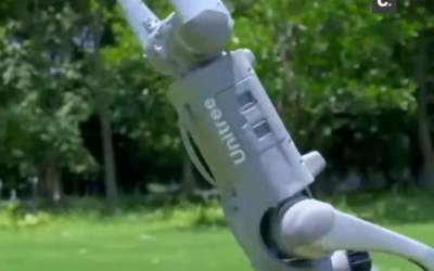 Avis Sunseeker Robot : efficacité et témoignages pour simplifier l’entretien du jardin