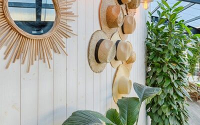 Dosage chape 5 cm : guide pratique et conseils essentiels