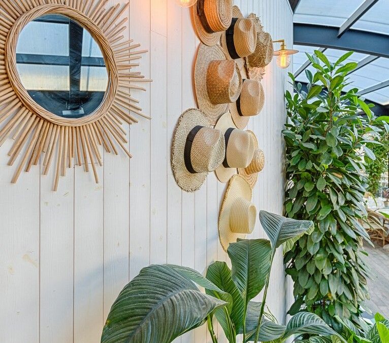 Dosage chape 5 cm : guide pratique et conseils essentiels