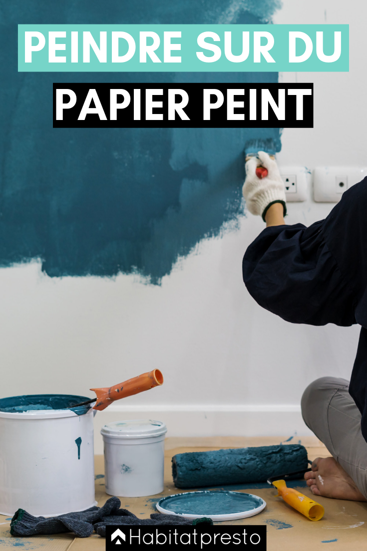 R&eacute;novation papier peint intiss&eacute;