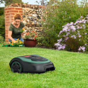 Tondeuse robot Bosch Indego S+ 500 jardin