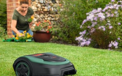 Guide complet sur la tondeuse robot Bosch Indego S+ 500 pour un jardin parfait