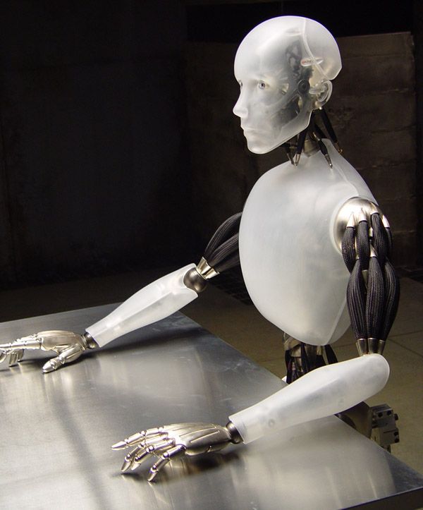 Sunseeker Robot avis ext&eacute;rieur