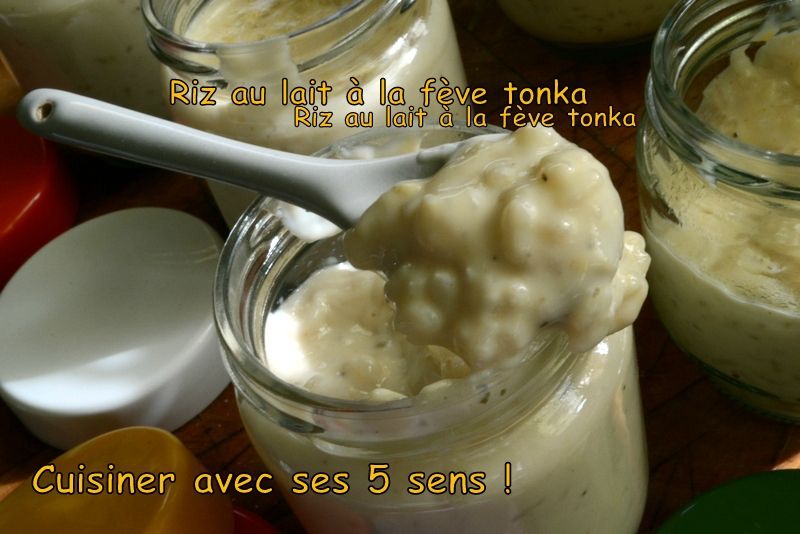 Riz au lait f&egrave;ve tonka
