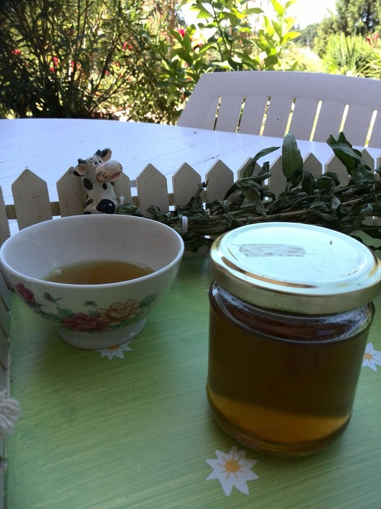 Granit&eacute; verveine givr&eacute;