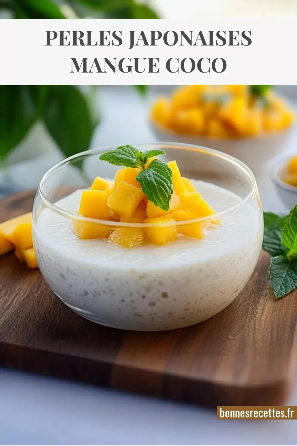 Perles de tapioca coco mangue