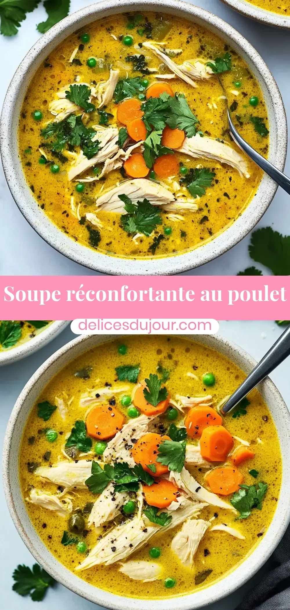 bouillon de poule de Bresse